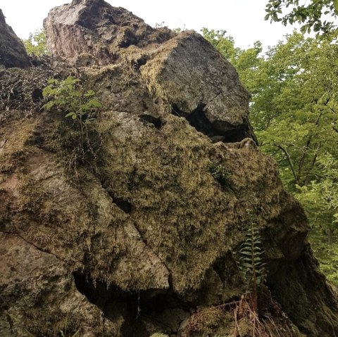 Kwartsietsteen met, © Tourist Information Wittlich Stadt & Land