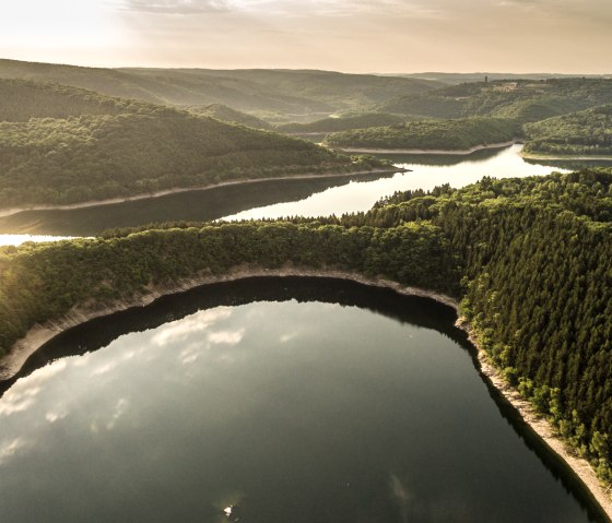 La nature sauvage de demain : le parc national de l'Eifel, © Eifel Tourismus GmbH, D. Ketz