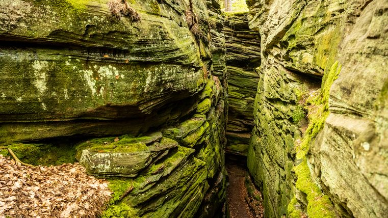 Smalle, met mos bedekte rotskloof met gebladerte op de grond.