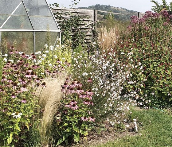 Perennial garden, © Herr Schützeichel