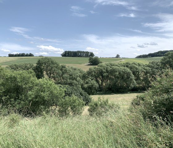 Grüne Felder und Bäume erstrecken sich unter einem blauen Himmel mit wenigen Wolken. Eine ruhige, ländliche Landschaft., © Benjamin Milbach
