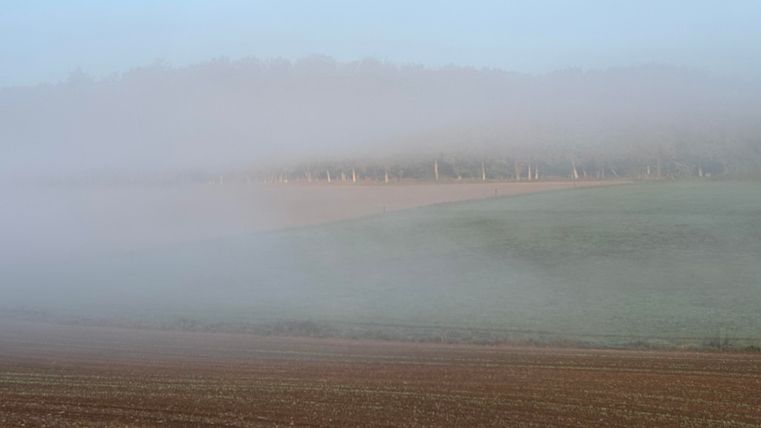 A misty landscape with gentle hills and a clear, blue sky. The fog covers the fields and creates a calm atmosphere.