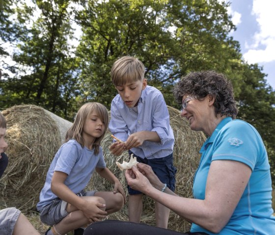 Alles over de bever, © Eifel Tourismus GmbH_Vollmer
