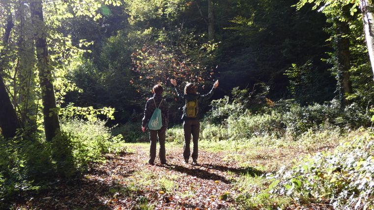 Deux personnes se tiennent dans la forêt et jettent des feuilles d'automne en l'air.