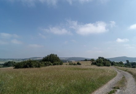 Eifelspur herb trail - wild herb meadow, © Nordeifel Tourismus GmbH