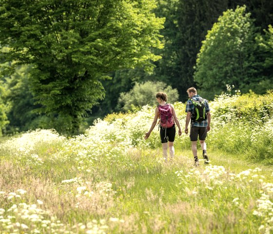 Nat'Our Route 1, se promener dans les prairies fleuries, © Eifel Tourismus GmbH, Dominik Ketz