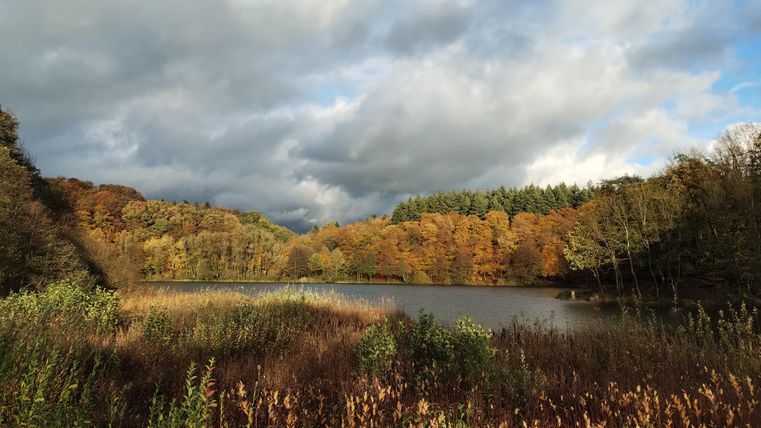 Ein ruhiger See umgeben von farbenfrohen Herbstbäumen. Der Himmel ist bewölkt mit Lichtstrahlen, die durch die Wolken scheinen.