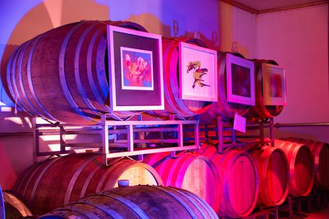 Een wijnkelder met houten vaten, waarop kleurrijk ingelijste kunstwerken zijn tentoongesteld. Het licht geeft de scène een bijzondere sfeer.