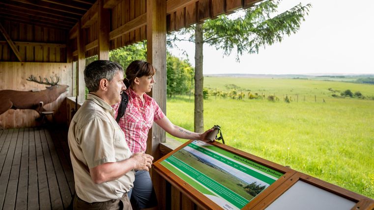 Zwei Personen stehen auf einer Aussichtsplattform und schauen auf eine weitläufige grüne Landschaft. Vor ihnen befindet sich ein Informationsschild mit einer Beschreibung der Umgebung.