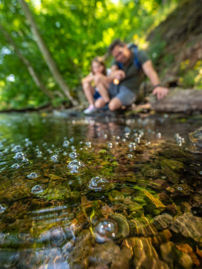 Aufsteigende Gasbläschen im Laacher See