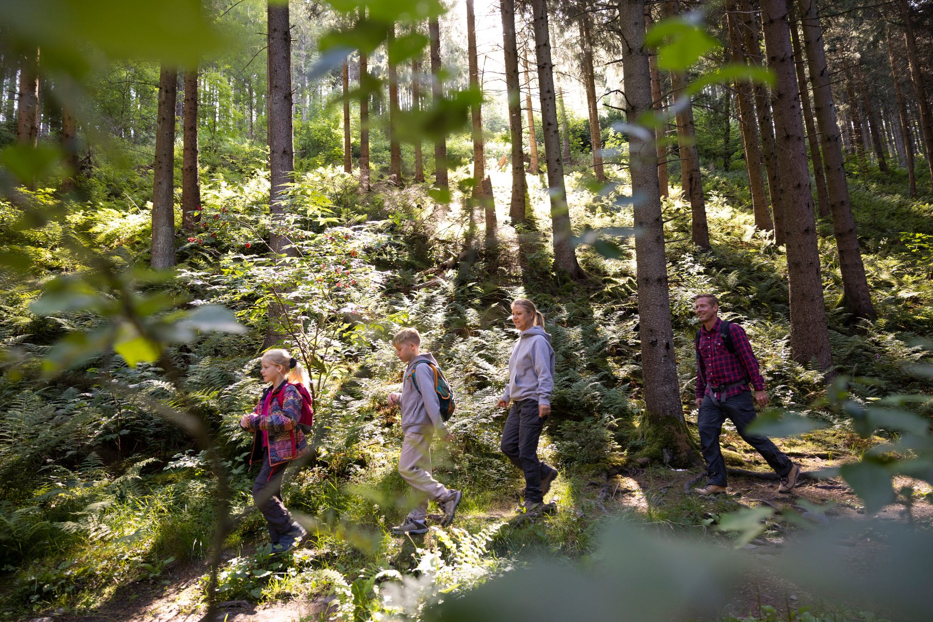 Ein Paar und 2 Kinder wandern auf einem schmalen Waldpfad