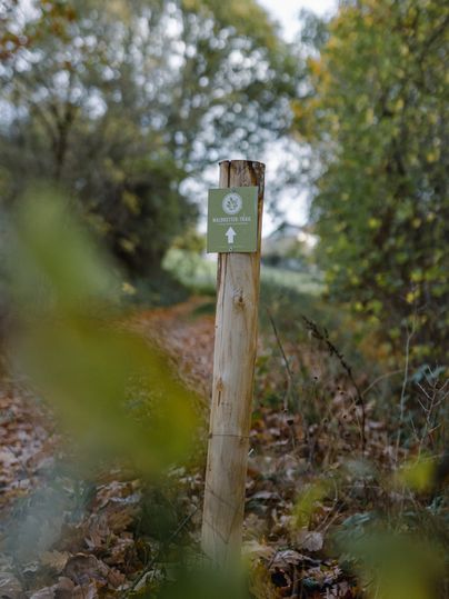 Un poteau en bois avec un panneau "Waldretter-Trail" dans un chemin forestier automnal.