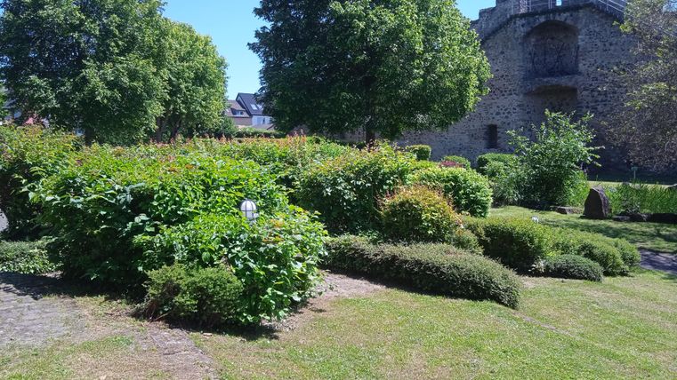 A well-maintained garden with green shrubs and trees. In the background, an old wall can be seen.