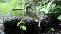 Maischquelle mit Überlauf, © GesundLand Vulkaneifel GmbH