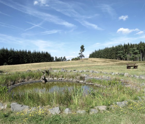 heidetuempfel-biotop-auf-kindgen, © Svenja Schulze-Entrup