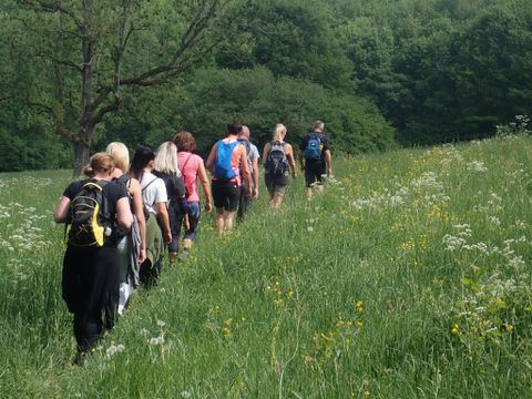 Een groep mensen wandelt door een groene weide. Op de achtergrond zijn bomen en de blauwe lucht te zien.