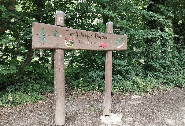 Forstlehrpfad im Wald von Schloss Burgau, © Sophia Eckerle