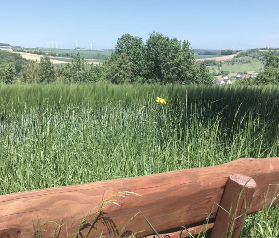 A wooden bench stands in front of a green meadow. Wind turbines and a hilly landscape can be seen in the background., © Fellmann