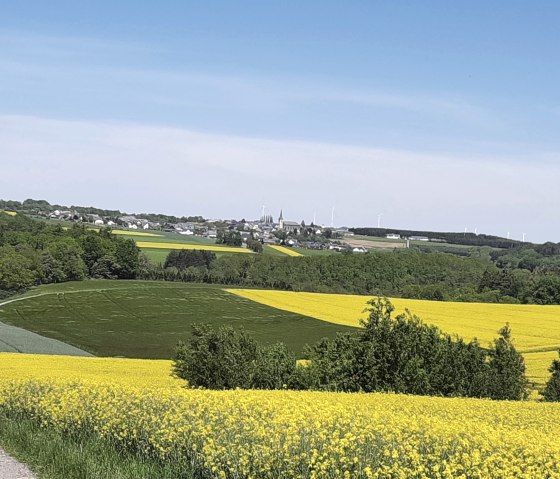 Hambuch während der Rapsblüte, © Marita Weiler/Kleine Eifel Auszeit