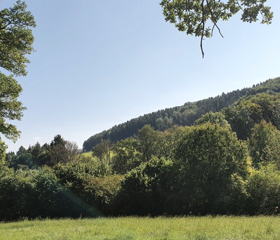 Prairie verte avec des arbres luxuriants et des collines boisées en arrière-plan, sous un ciel bleu limpide., © Tourist-Information Bitburger Land