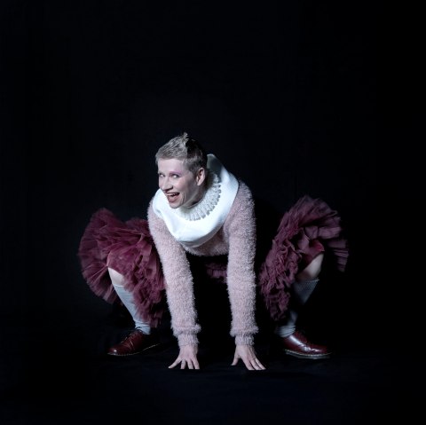 Fourmillement de gibier, © K. Schomberg