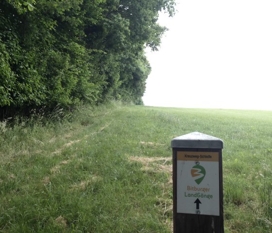 Balisage du chemin à la lisière de la forêt près de Seffern, © TI Bitburger Land