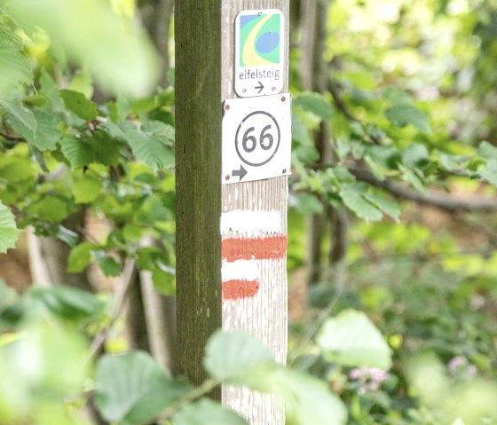 E9WOXS~N, © Eifel-Tourismus GmbH, shapefruit AG - A. Röser