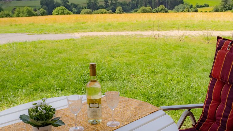 A table with a wine glass and a bottle of wine stands in the middle of a green landscape. In the background, you can see hills and fields.
