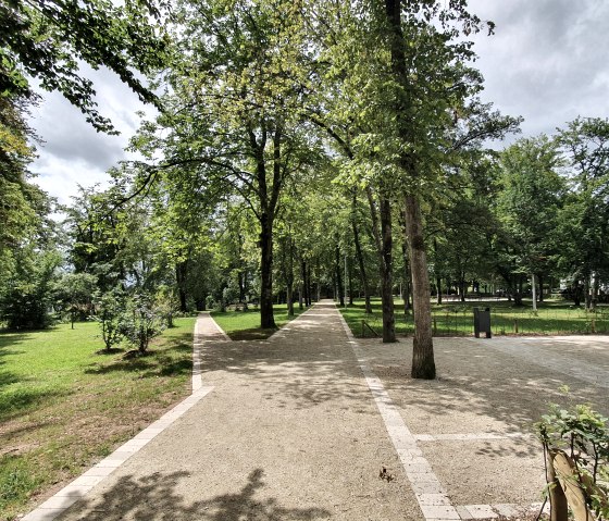 Ein schattiger Weg führt durch das Maximiner Wäldchen in Bitburg, umgeben von hohen Bäumen und grünen Rasenflächen., © TI Bitburger Land