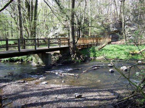 Pont en bois sur un ruisseau dans une zone forestière.