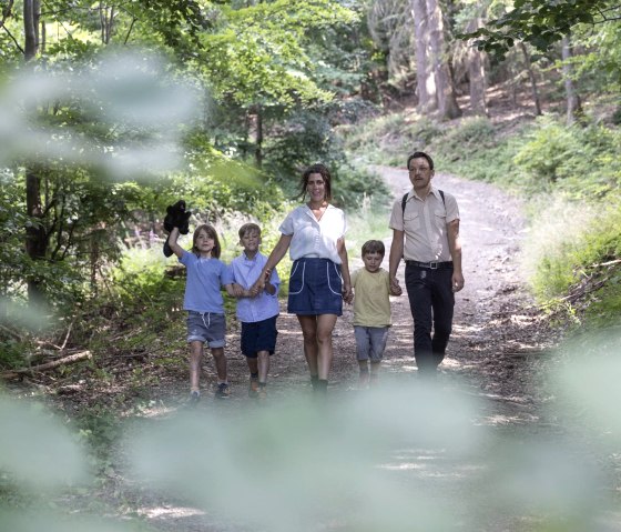 In het spoor van de bever, © Eifel Tourismus GmbH_Vollmer