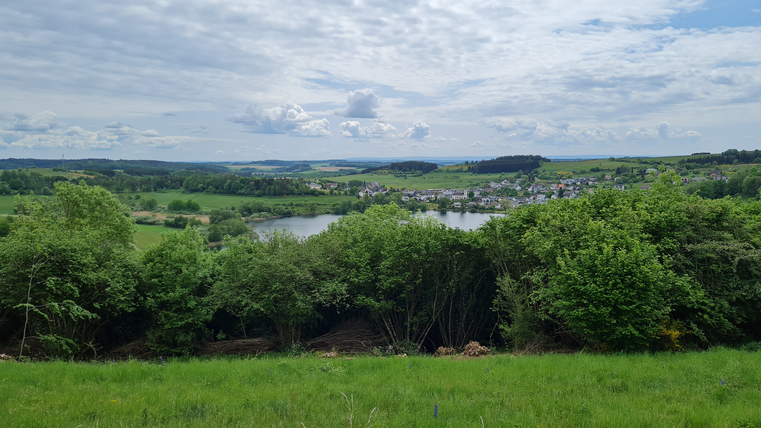 Un beau paysage avec des prairies vertes et des arbres. À l'arrière-plan, on peut voir un lac tranquille et un petit village.