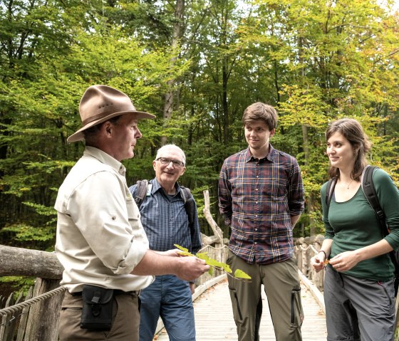 Visite guidée avec le Ranger sur le sentier sauvage, © Nationalpark Eifel, Dominik Ketz