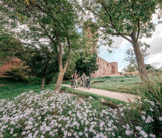 Blick vom Park am Wallgraben auf die Landesburg Zülpich - Paul Meixner, © Paul Meixner