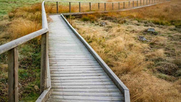 Een houten pad loopt door een groene, natuurlijke landschap. Op de achtergrond zijn droog gras en een rustige lucht te zien.