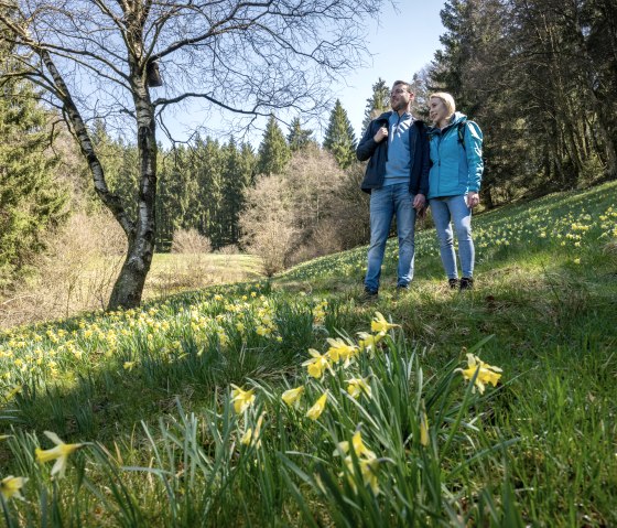 Hiking on the daffodil route, © Städteregion Aachen, Dominik Ketz