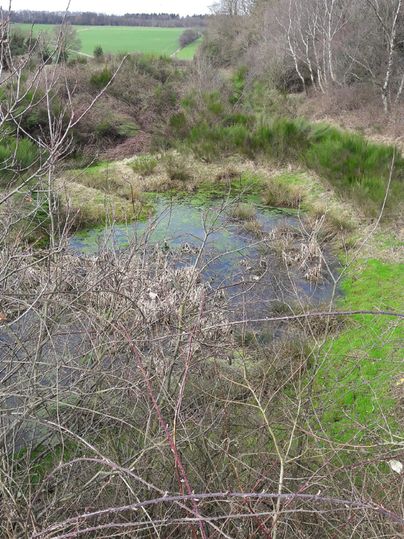 Une zone naturelle intacte avec une petite étendue d'eau, entourée de hautes herbes et de buissons. À l'arrière-plan, des terres agricoles vertes et quelques arbres sont visibles.