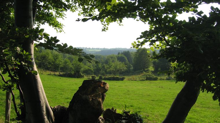 Uitzicht door bomen naar een groene weide en beboste heuvels op de achtergrond.