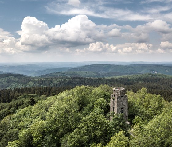 eifelleiter-hohe-_dominik_ketz, © Domenik Ketz
