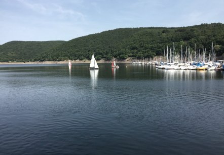 At the Rursee, © Eifel Tourismus GmbH