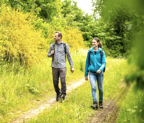 Wandelen door bloeiende brem, © Eifel Tourismus GmbH, Dominik Ketz