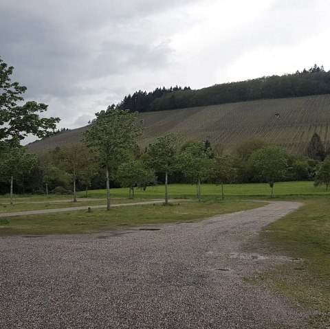 Vue sur les vignobles depuis l'aire de camping-car, © Tourist-Information Wittlich Stadt & Land