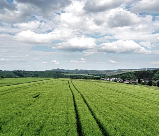 Vues lointaines sur les champs, © Eifel Tourismus GmbH, Dominik Ketz