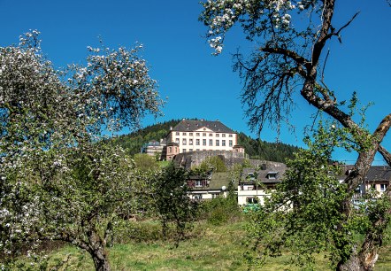 Kasteel Malberg troont op een heuvel, omringd door bloeiende bomen en huizen. De lucht is helder en blauw., © Tourist-Information Bitburger Land_Monika Mayer