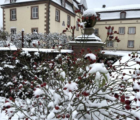 Schloss Winter, © Nordeifel Tourismus GmbH & La Maison