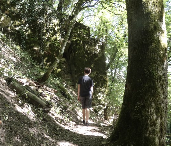 A person walks on a shady forest path along a moss-covered rock face. Sunlight falls through the trees., © TI Bitburger Land