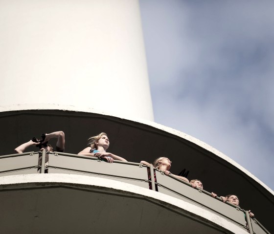 Plateforme d'observation sur la tour du cou de l'oie, © Kappest/Remet
