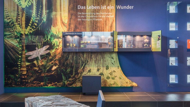An interactive exhibition design showcases a large tree view with various exhibits. Informative texts about life in nature are in the background.