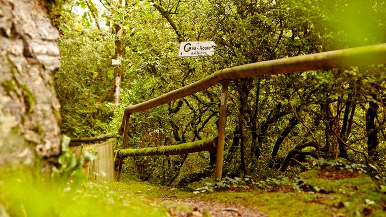 A hiking trail in the green with a wooden fence and a sign with the inscription "Geo-Route Vulkaneifel um Bad Bertrich".