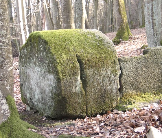 Römische Gräber von Holsthum - Halbwalzenstein, © Felsenland Südeifel Tourismus GmbH